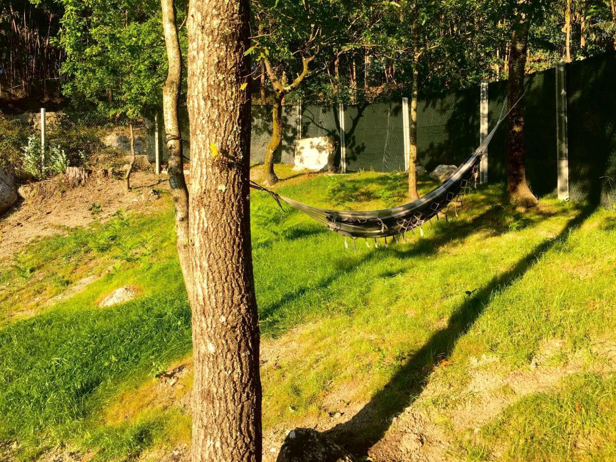 The Green Roof House Vieira do Minho Zewnętrze zdjęcie